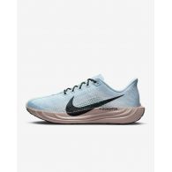 Кросівки чоловічі Nike Pegasus Plus FQ7262-406