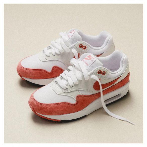 Кросівки жіночі Nike Air Max 1 87 FZ1468-100_image_5