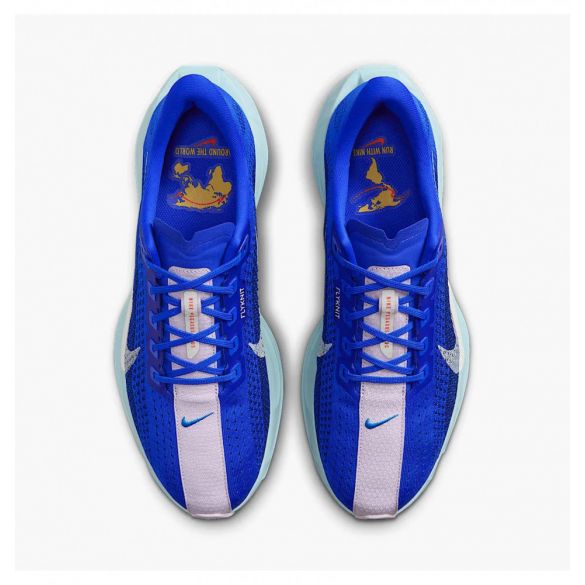 Кросівки чоловічі Nike Pegasus Plus Prm Blue HQ1719-400_image_5