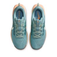 Кросівки жіночі Nike React X Pegasus Trail 5 DV3865-010