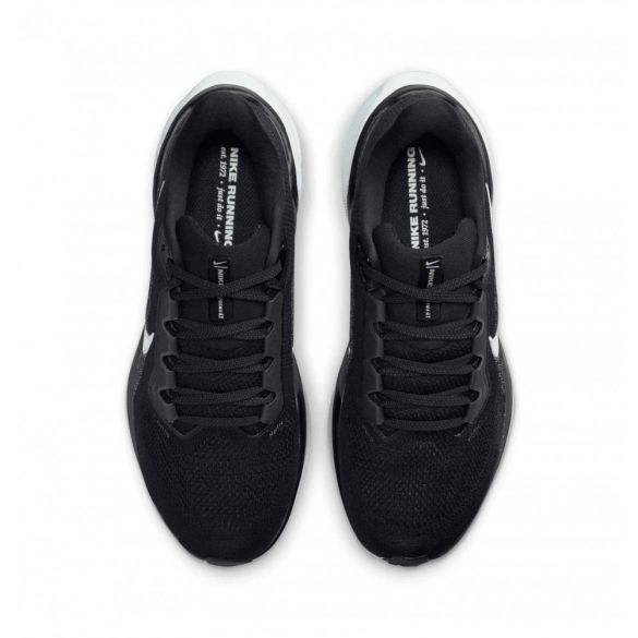 Кросівки жіночі Nike Pegasus 41 FD2723-002_image_2