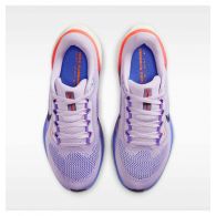 Кросівки жіночі Nike Pegasus 41 FD2723-503