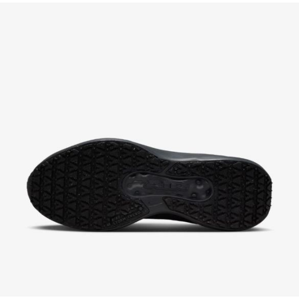 Жіночі кросівки Nike W Air Winflo 11 Gtx FQ1359-001_image_6