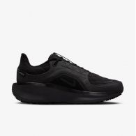 Жіночі кросівки Nike W Air Winflo 11 Gtx FQ1359-001