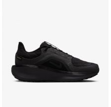 Жіночі кросівки Nike W Air Winflo 11 Gtx FQ1359-001