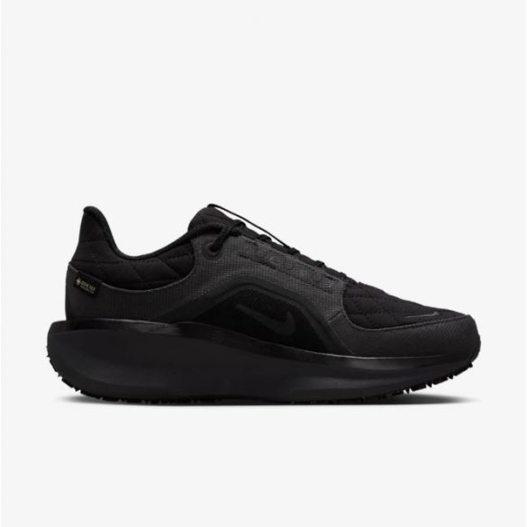 Жіночі кросівки Nike W Air Winflo 11 Gtx FQ1359-001_image_1