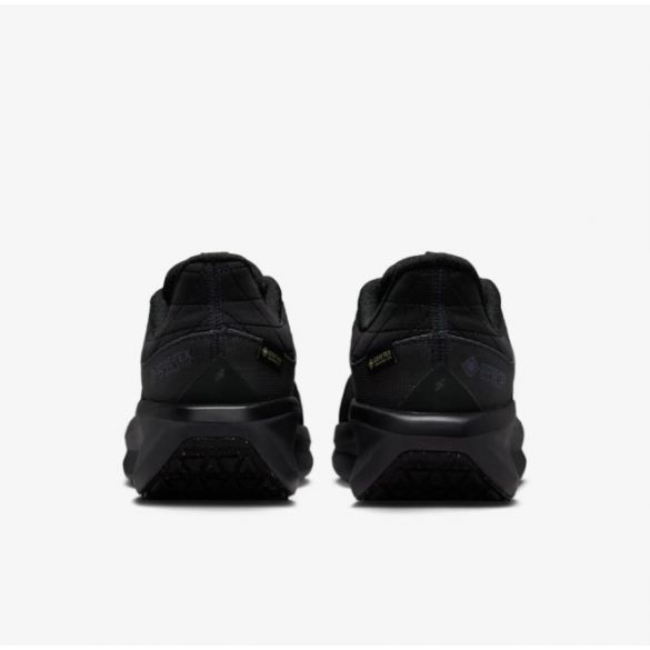 Жіночі кросівки Nike W Air Winflo 11 Gtx FQ1359-001_image_5