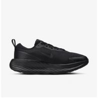 Жіночі кросівки Nike W Promina FV6343-001