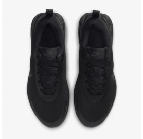 Жіночі кросівки Nike W Promina FV6343-001