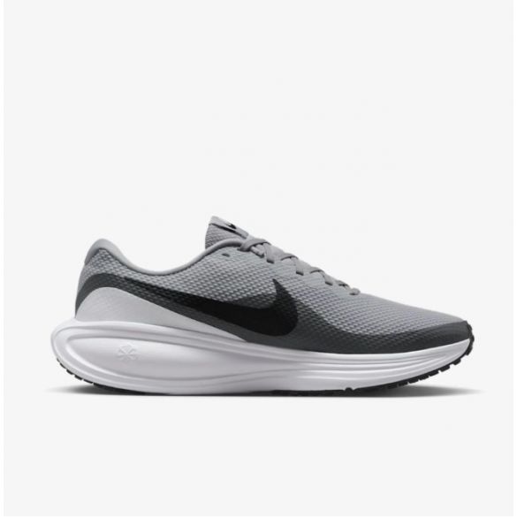 Чоловічі кросівки Nike Revolution 8 HJ9198-004_image_1