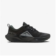 Жіночі кросівки Nike Wmns Juniper Trail 2 Gtx HM9725-001