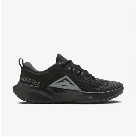 Жіночі кросівки Nike Wmns Juniper Trail 2 Gtx HM9725-001_image_1