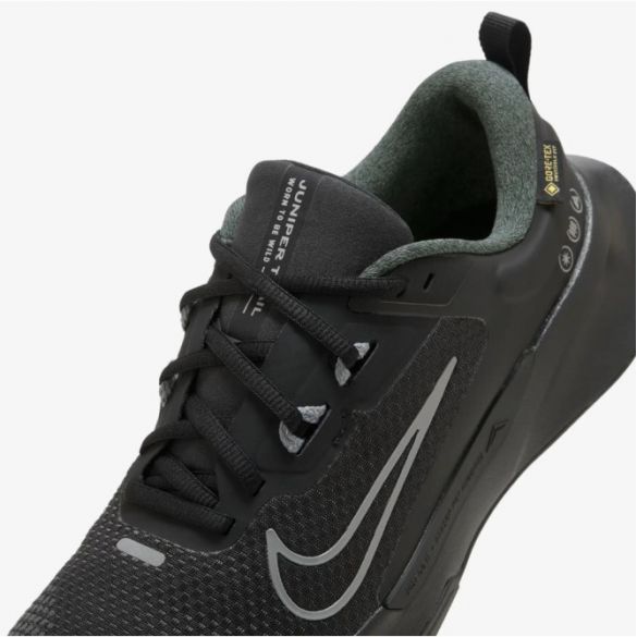 Жіночі кросівки Nike Wmns Juniper Trail 2 Gtx HM9725-001_image_5