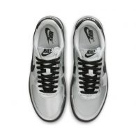 Кросівки жіночі Nike Field General Metallic HQ7397-001