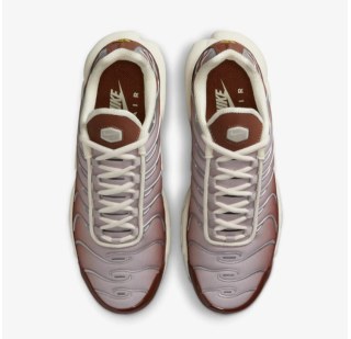 Жіночі кросівки Nike Wmns Air Max Dark Pony II7637-200