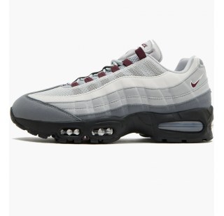 Кросівки жіночі Nike Air Max 95 IM6016-084