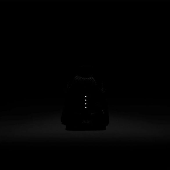 Чоловічі кросівки Nike Air Max Torch 4 343846-002_image_8