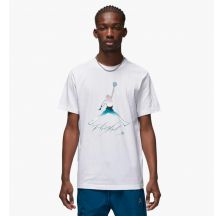 Мужская футболка Jordan M J Brand Graphic SS Crew DV8414-100