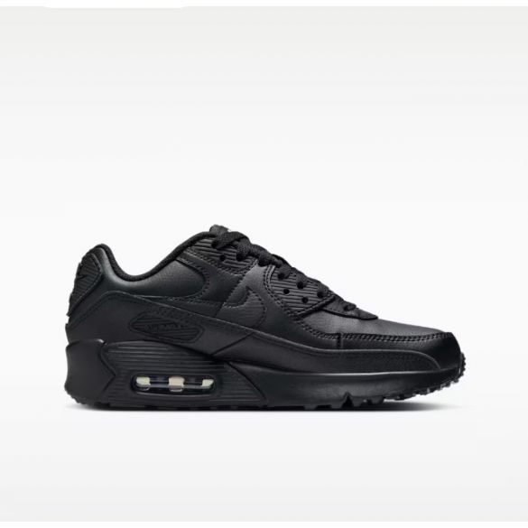 Кросівки дитячі Nike Air Max 90 Ltr (Gs) CD6864-028_image_1