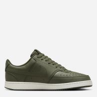 Кросівки Nike Court Vision Low Better DH2987-300