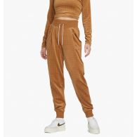 Штани Nike W Nsw Vlr Hr Jogger A1 DV7820-270