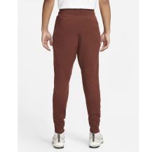Мужские штаны Nike Therma-Fit Adv Tech Pack Tech Fleece DV9987-231