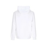 Худі чоловіче Nike Air Fleece Hoody FN7691-121_image_2