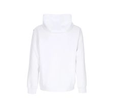 Худи мужское Nike Air Fleece Hoody FN7691-121