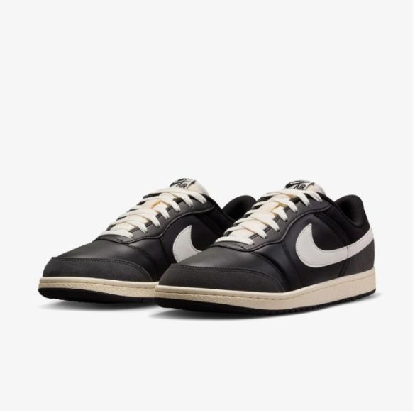 Чоловічі кросівки Air Jordan Skyline Low Le IQ6425-001_image_5