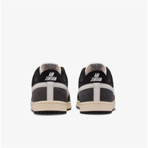 Чоловічі кросівки Air Jordan Skyline Low Le IQ6425-001_image_6