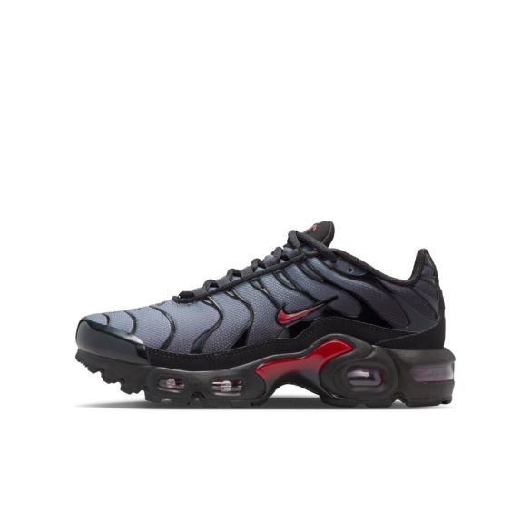 Кросівки Nike Air Max Plus CD0609-047_image_3