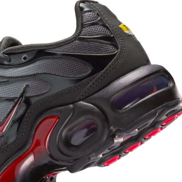 Кросівки Nike Air Max Plus CD0609-047_image_10
