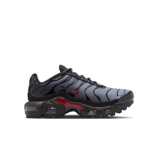 Кросівки Nike Air Max Plus CD0609-047