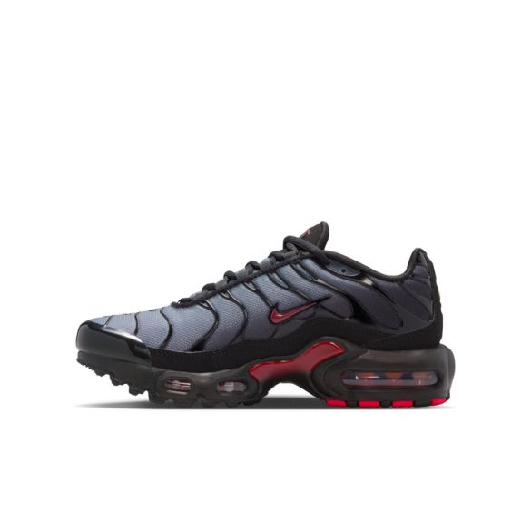 Кросівки Nike Air Max Plus CD0609-047_image_6