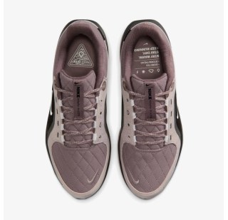 Жіночі кросівки Nike W Air Winflo 11 Gtx FQ1359-200