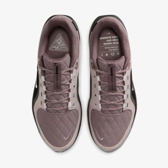 Жіночі кросівки Nike W Air Winflo 11 Gtx FQ1359-200_image_2