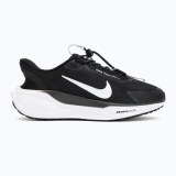 Жіночі кросівки Nike Pegasus EasyOn FQ7844-002_image_1