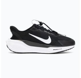 Жіночі кросівки Nike Pegasus EasyOn FQ7844-002