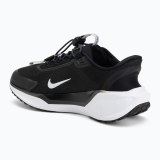 Жіночі кросівки Nike Pegasus EasyOn FQ7844-002_image_6