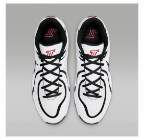 Кросівки чоловічі Air Jordan Tatum 4 HQ4614-101