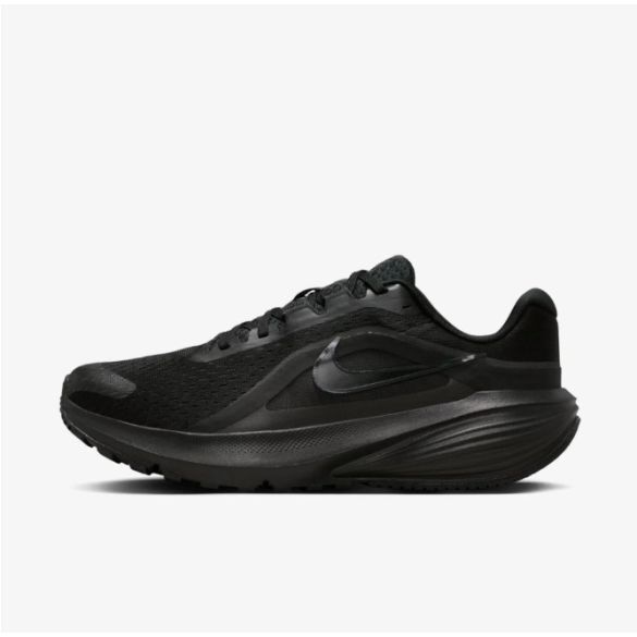 Жіночі кросівки Nike Downshifter 14 IB1899-001_image_1
