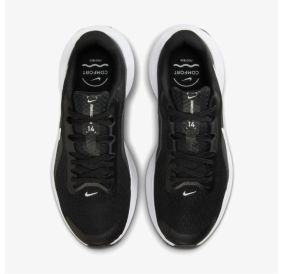 Жіночі кросівки Nike Downshifter 14 IB1899-002