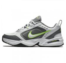 Кросівки Nike Air Monarch IV 415445-100