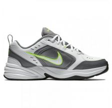 Кросівки Nike Air Monarch IV 415445-100