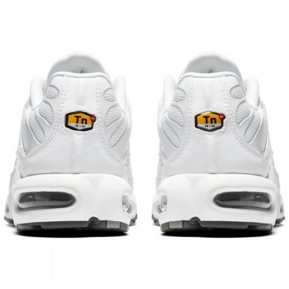 Кросівки  Nike Air Max Plus 604133-139_image_5