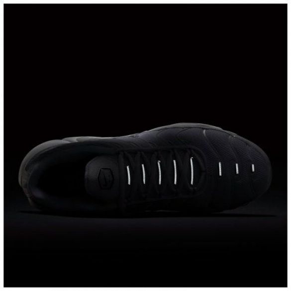 Кросівки  Nike Air Max Plus 604133-139_image_6