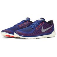 Кроссовки Nike Free Flash 806574-408