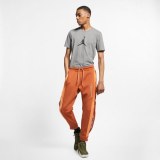 Мужские брюки Jordan M J 23 Eng Flc Pant CJ6765-246_image_1