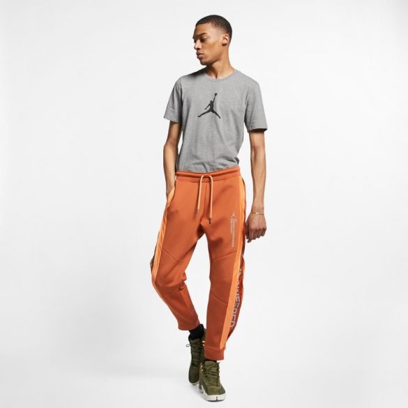 Мужские брюки Jordan M J 23 Eng Flc Pant CJ6765-246_image_1