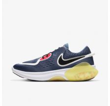 Жіночі кросівки Nike Joyride Dual Run CD4363-400